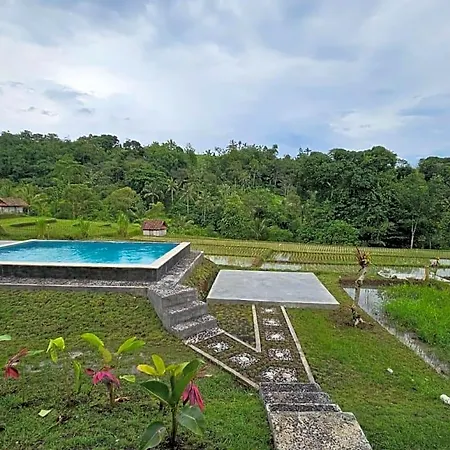 Umauthu Bali