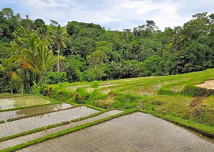 ロッジ Umauthu Bali *